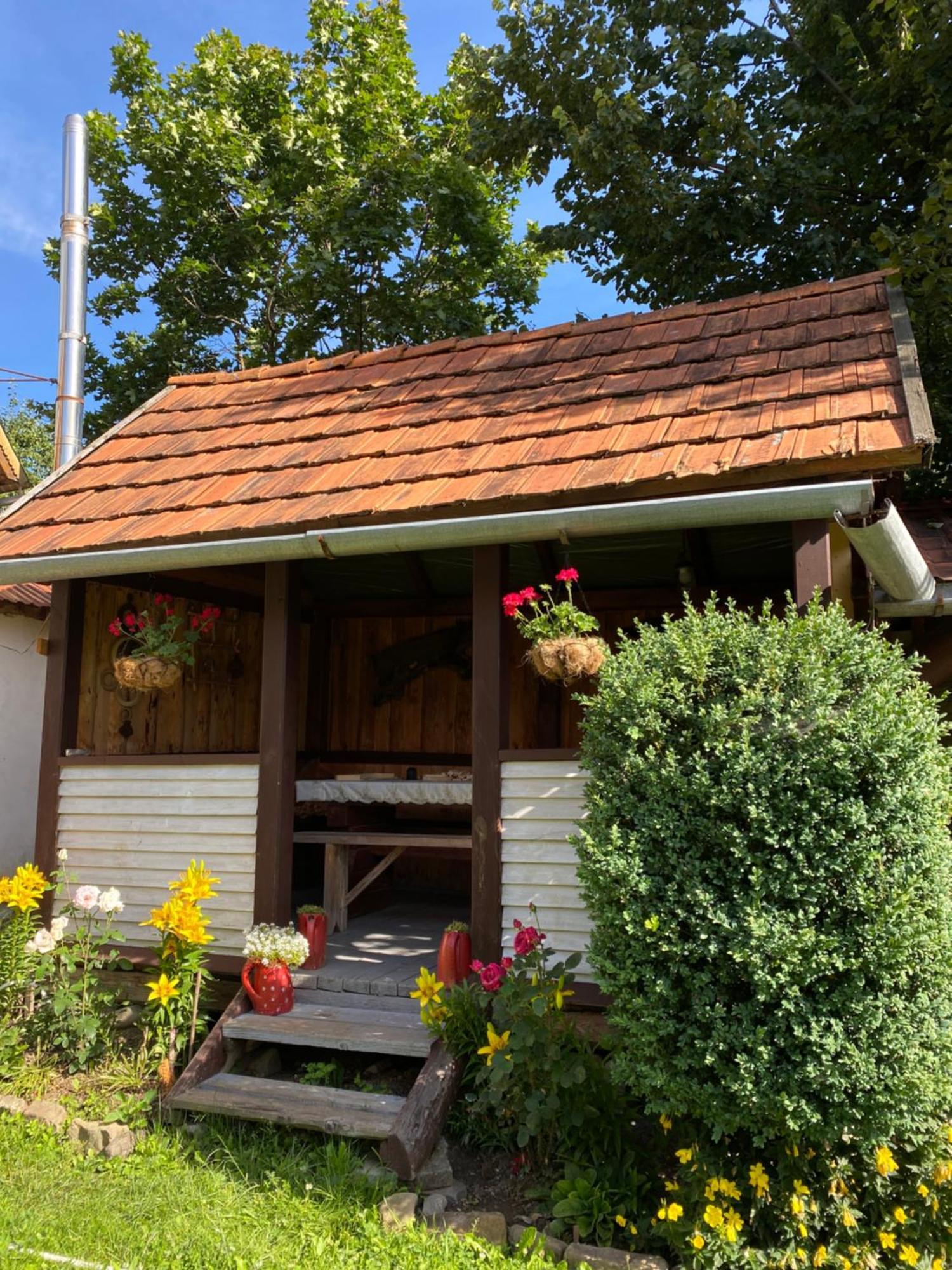 У Олега Hotel Verkhne-Studënyy Exterior foto